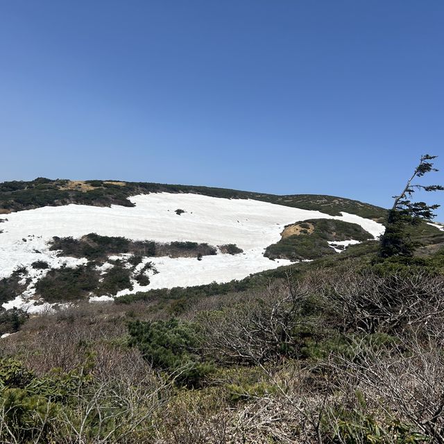 The beauty of Mt. Zao