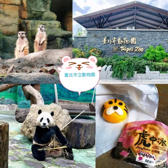 《臺北市立動物園》🐼熊貓熱🐼園區極大一天都行不完🦁
