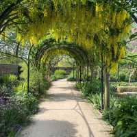Royal Botanic Gardens, Kew 🇬🇧