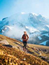 Mount Rainier National Park