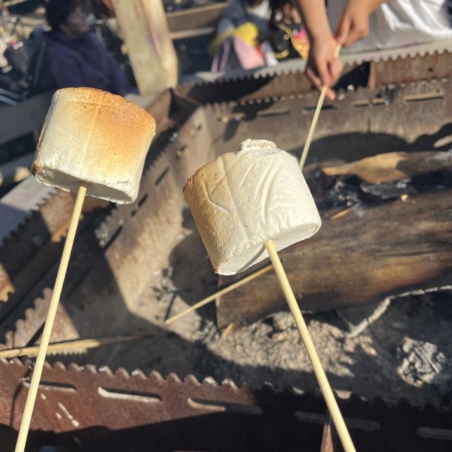 Pumpkin Marshmallow Mania: A Sweet Fall Festival
