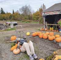 J&P's Farm Market 👻