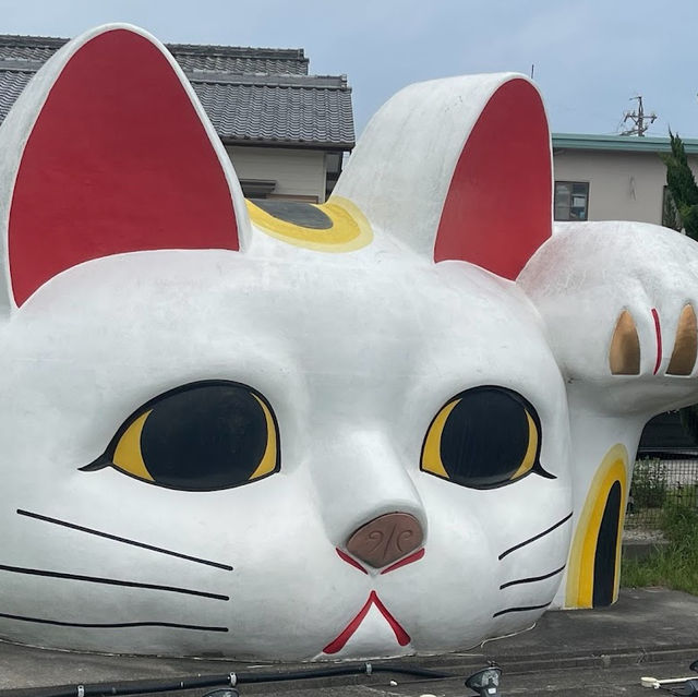 常滑招財貓通
