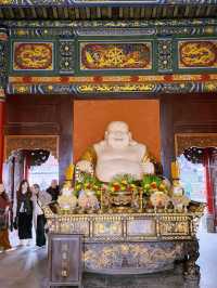 A Day of History and Wonders: Shuju Ancient Town & Leshan Giant Buddha