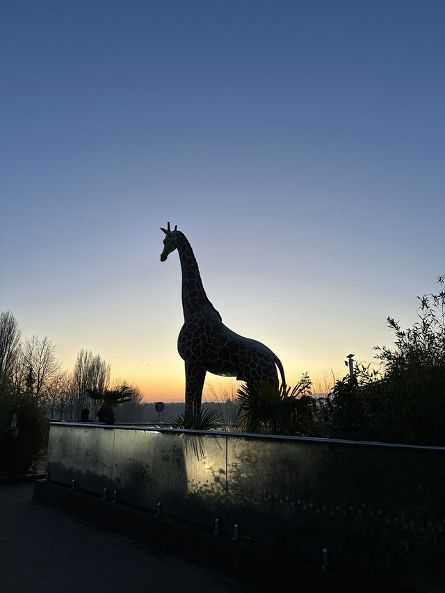 Colchester zoo friends 