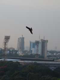 Snapshots of Bengaluru: Everyday Moments in the City