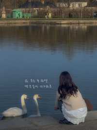 프랑스 소도시 베르사유 즐기는 방법🇫🇷