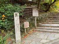 The scene of about 8,000 stone Buddhas and stone pagodas lined up in the precincts