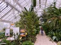London’s Springtime Magic at Kew Gardens