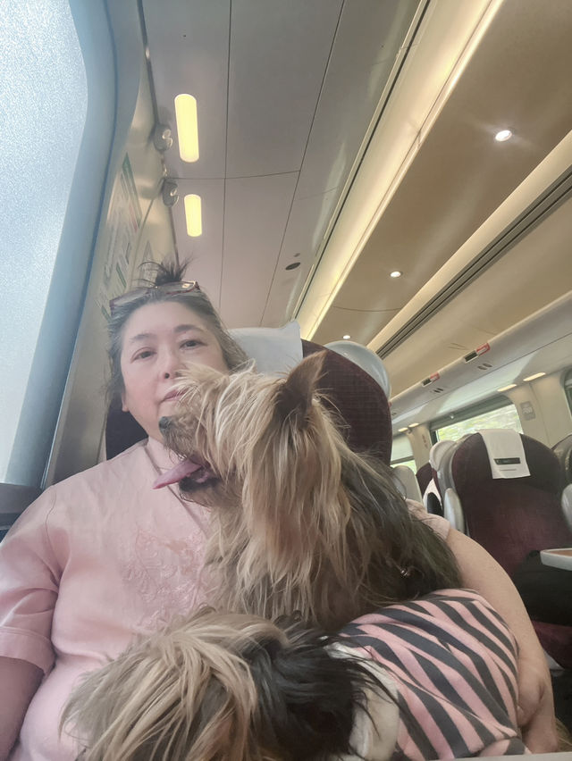 From standard to Ist class on  my return journey 