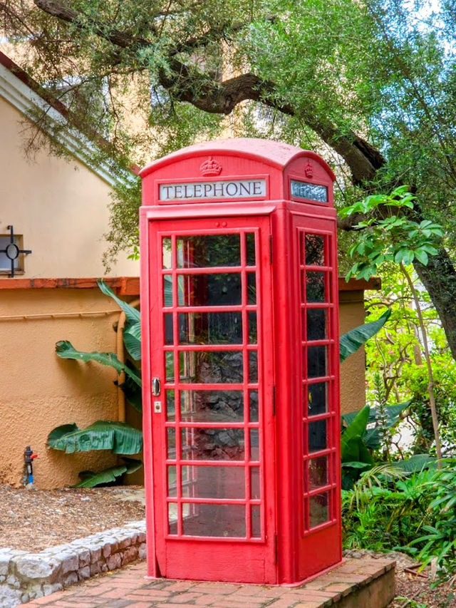 A walk around the Botanic Gardens Gibraltar🇬🇮 