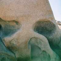 🚗 Transportation Tips for Visiting Joshua Tree National Park