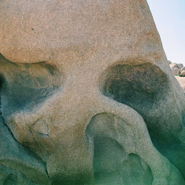 🚗 Transportation Tips for Visiting Joshua Tree National Park