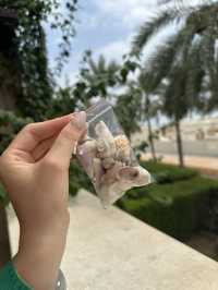 Fujairah — an Oriental-style retreat that stole my heart