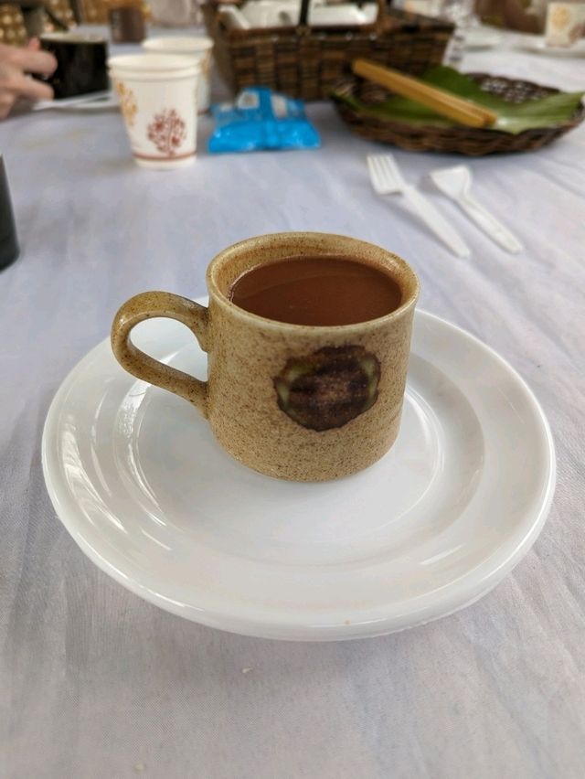 Chocolate farm on Bohol island, Philippines 