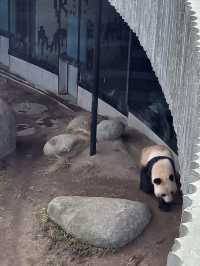 Copenhagen Zoo