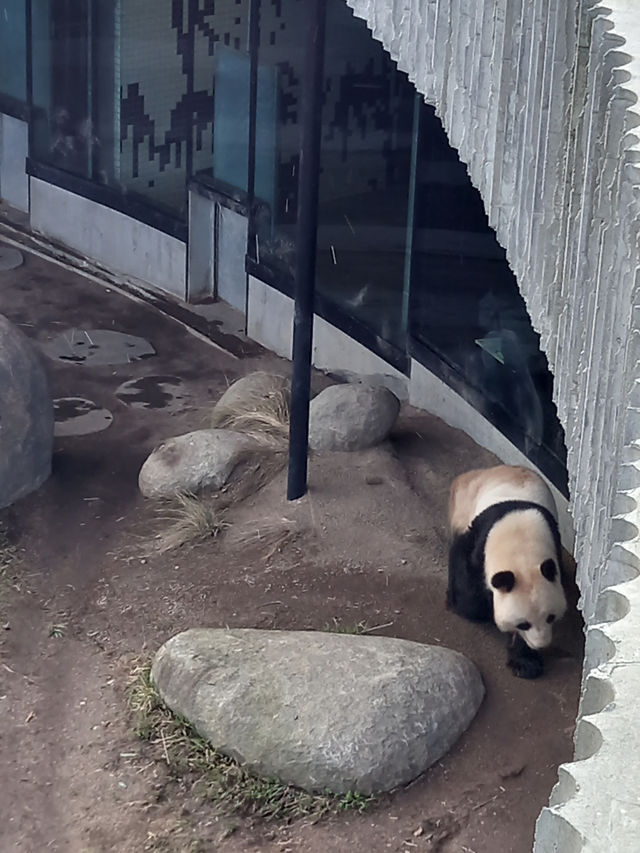 Copenhagen Zoo