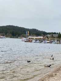 TITISEE LAKE BLACK FOREST🚤