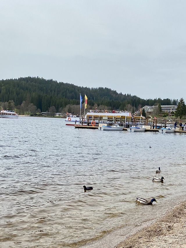 TITISEE LAKE BLACK FOREST🚤