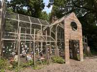 Art sculptures lost in a forest