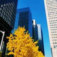 Tokyo Like a Local: Everyday Life in the Big City