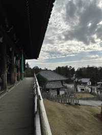 Exploring Nara’s temple circuit is a must for any Japan trip