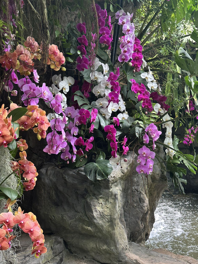 Shanghai Botanical Garden