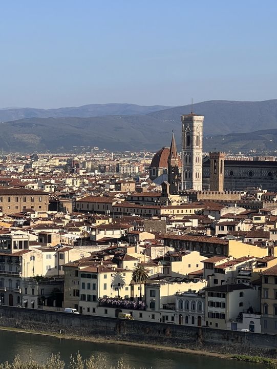 Florence: Free Museum Day & Views That Take Your Breath Away 🎨🌆