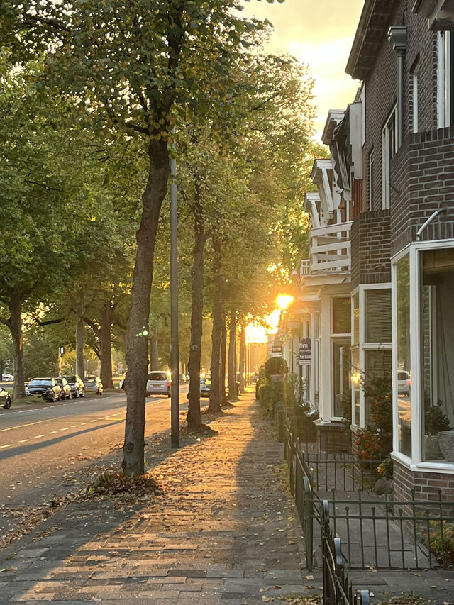 Autumn in the Netherlands🍂🤎🧡