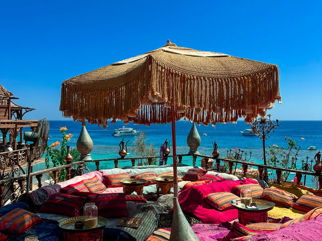 Never miss Sharl El Sheikh!