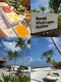 Barceló Whale Lagoon Maldives — Where the Ocean Whispers Your Name and Luxury Feels Like Breathing