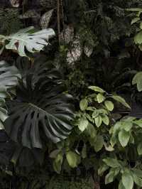 Shanghai Greenhouse Garden: Two Worlds in One Oasis