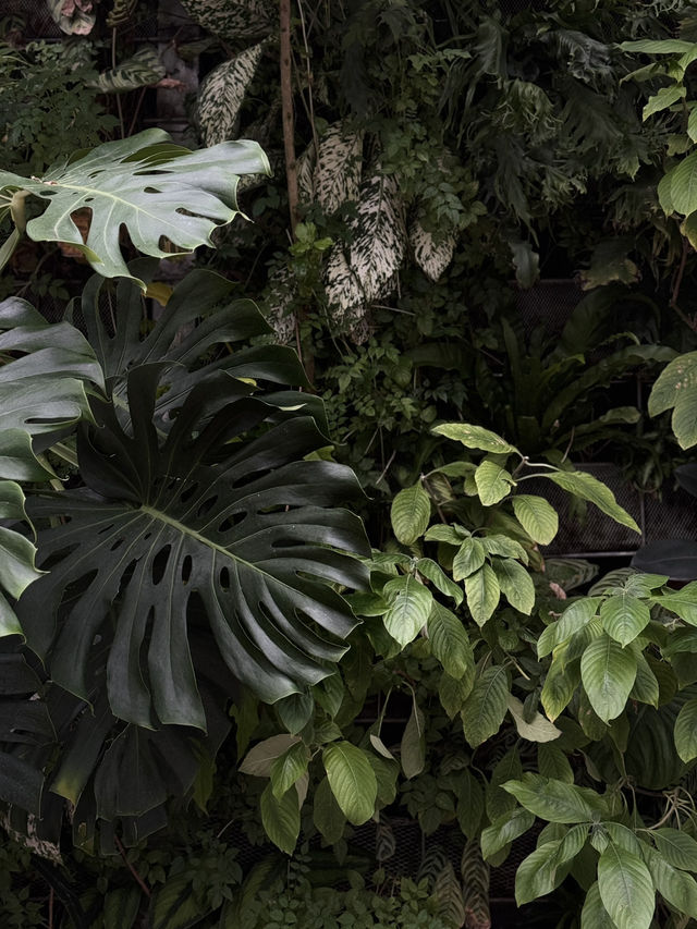 Shanghai Greenhouse Garden: Two Worlds in One Oasis Shanghai Greenhouse Garden: Two Worlds in One Oasis