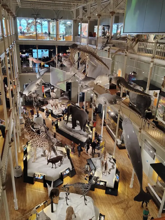 Exploring the National Museum of Scotland is an invitation to curiosity and discovery. 🏛️✨ 