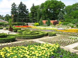 🌿 Botanical Garden in Balchik: A Heavenly Corner on the Edge of the Cliffs