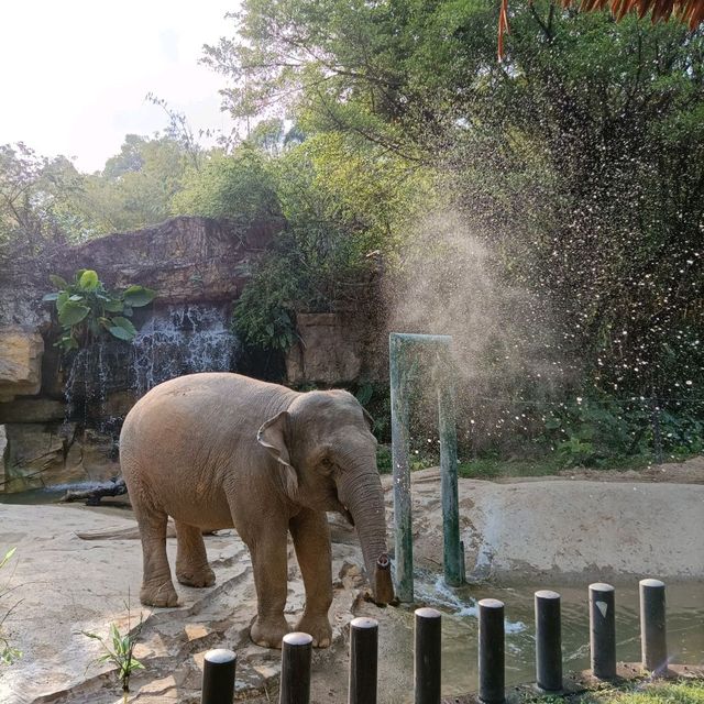 Chimelong Safari Park in Guangzhou 