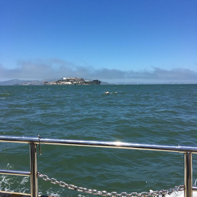 Nature in San Francisco!