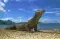 Gastronomic Getaways
