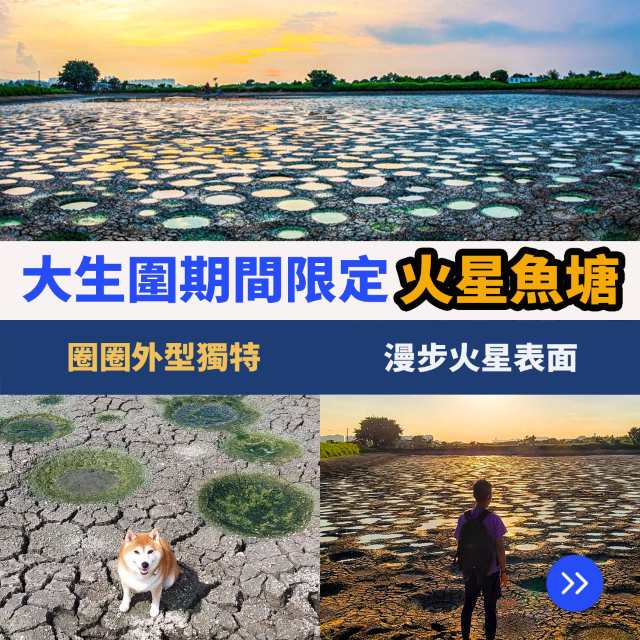 大生圍期間限定｜火星魚塘🐟