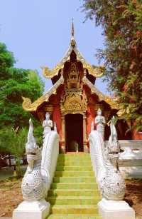 Chiang Mai's largest meditation center, a place where you can truly calm down.