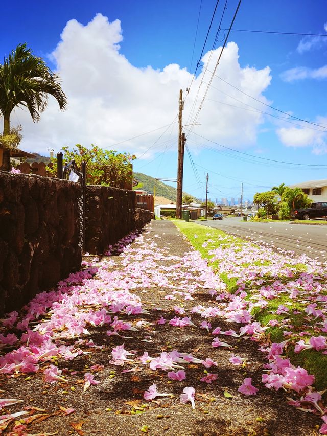 March's Hawaii Ocean Park is super beautiful, satisfying all your requirements for an island.