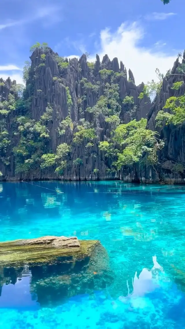 Immerse Yourself in Nature's Beauty: Twin Lagoon, Coron! 🌴🌅