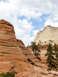 The Ultimate Guide to Zion National Park