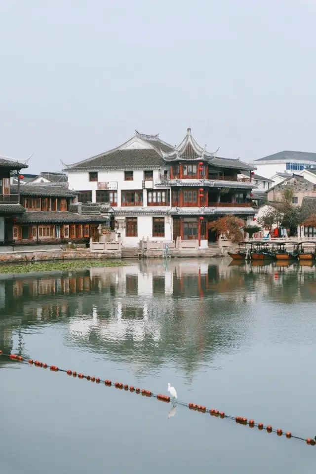 강남의 인기 있는 고도 여행 | 진계 고도