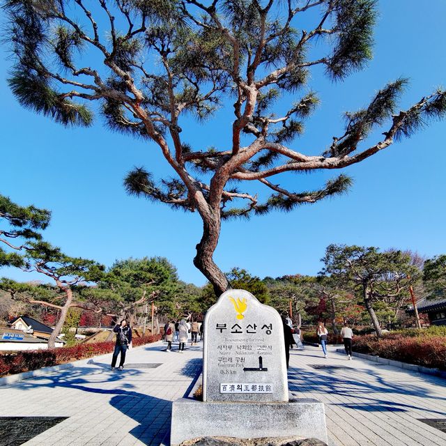 打卡韓國扶蘇山城