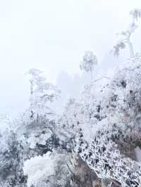 冰雪世界湖南莽山，銀裝素裹真的是賞雪聖地！