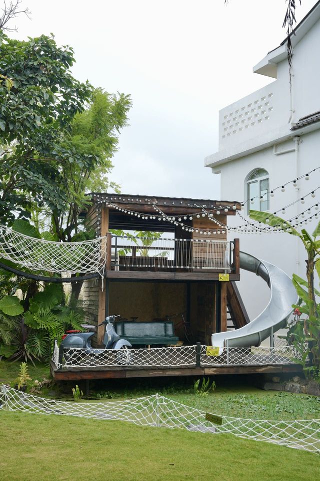 跟隨黃奕打卡“泰國熱帶雨林”火鍋店