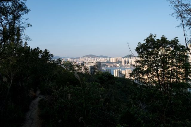 西灣河後山小徑．一小時散步之旅