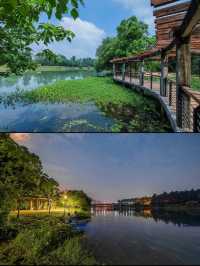 絕美綠竹桃園，杭州安吉民宿之夢幻之地