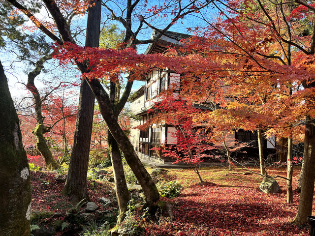 京都慢遊記